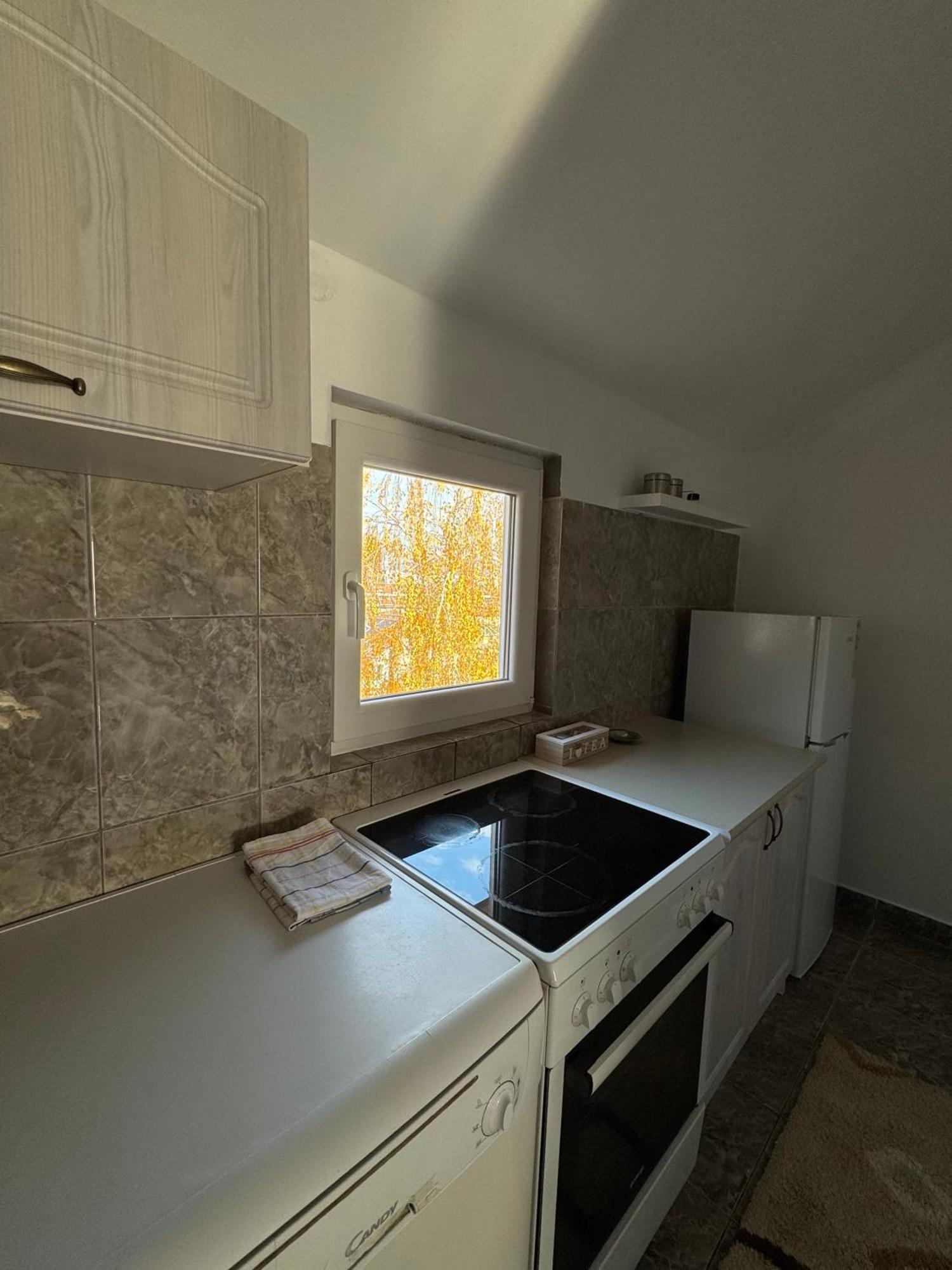 Apartmani Breze 波德戈里察 外观 照片
